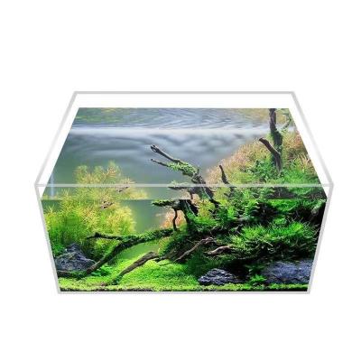 China Viable custom aquarium fish farming tank acrylic usb led aquarium for sale