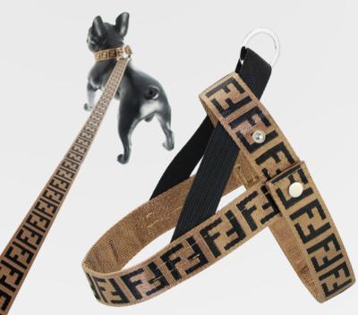 China Fashion Padded Luxury Dog Collar Set 2021 Dog Harness High Fashion Pet Harness Leash Collar Set for sale