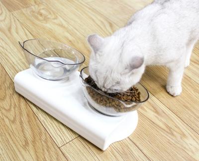 China Pet Automatic Tilted Double Bowl Clear Transparent 15 Degree Neck Guard Cat Bowl Dog Food Bowl for sale