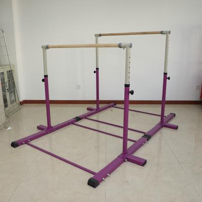 China New Design Horizontal Bar Trainer Free Standing Hanging Pull Up Fitness Equipment Pull Up Bar For Home Use for sale