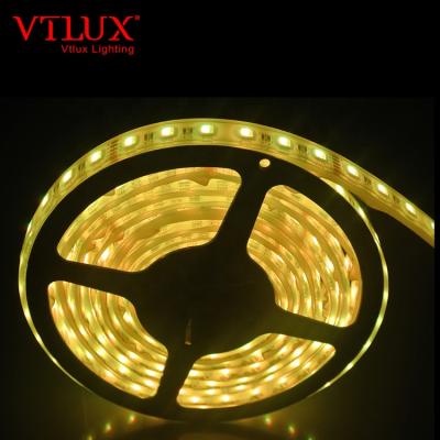 China LANDSCAPE 5M Led Strip Lights Manufacturer 12Mm Led Strip Lights Panel for sale