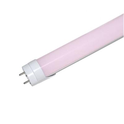 China T8 Supermarket China Factory Meat Counter Light 2FT 0.6M 4FT 1.2M LED Meat Tube Lamp CRI90 LED Cool Pink Light for sale