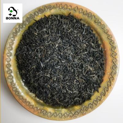 China Loose tea SENEGAL the quality of VERT De CHINE Chunmee Tea 4011 Flecha for sale