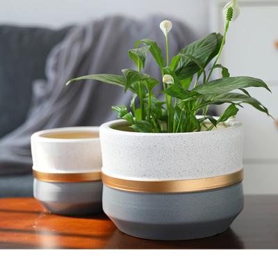 China Modern Handmade Garden Indoor Outdoor Ceramic Succulent Flower Pot On Table for sale