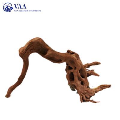 China Natural Sustainable Spider Wood Driftwood Aquarium Hardscape Azalea Tree Driftwood Root Twig Pacific Wood for sale