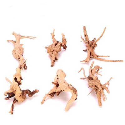 China Bonsai Viable Natural Glass Dragon Spider Aquascape Driftwood Tree Azalea Aquarium Wood Root for sale