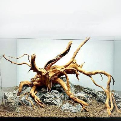 China Natural Driftwood Driftwood Tree Aquascape Azalea Driftwood Root Aquatic Wholesale Viable Aquatic Wood Driftwood Aquarium Bonsai Driftwood for sale