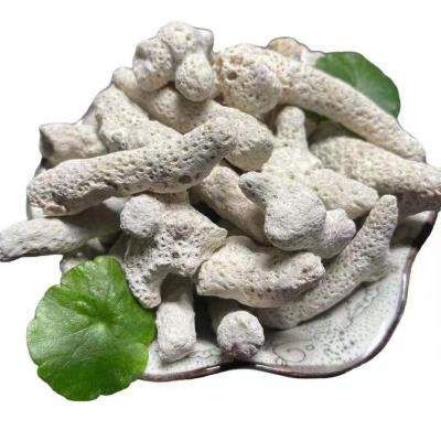 China Natural White Viable Light Clear Coral Bone for Aquarium or Pond Landscaping for sale