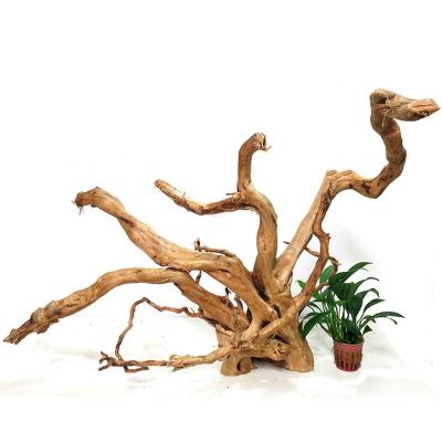 China Small Viable Aquarium Driftwood For Fish Tank Aquarium Driftwood Mangrove Bonsai Wood Driftwood Aquarium for sale