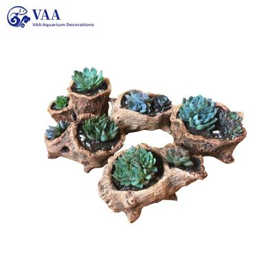 China Modern Natural Outdoor Wooden Succulent Flowerpot Planter Driftwood Maker Decorative Driftwood Wood Planter Pot for sale