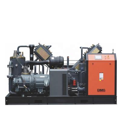 China Oil Free Silent Air Compressor Oil Free Low Noise Double Cylinder Air Compressor for Bottling and PET Chemicals for sale