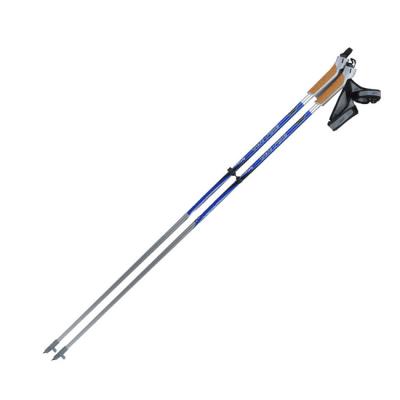 China 1 section style 2020 high quality new ski pole tip, ski pole grip, custom made ski pole for sale