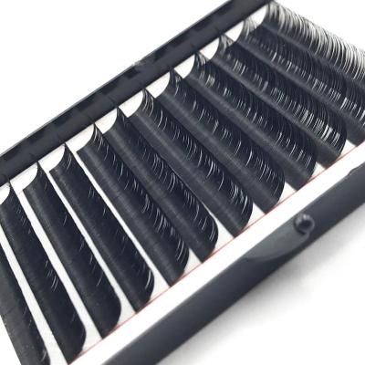 China Case C D Durable Black Silk Loop Eyelash Extensions Korea Individual Silk Eyelash Extension for sale