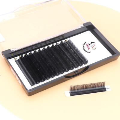 China 2021 Eyelash Extensions Private Label Hair Highlights Trays Handmade Ellipse Trays Premium Individual Comfortable Soft Korean Soft Natural Quality for sale