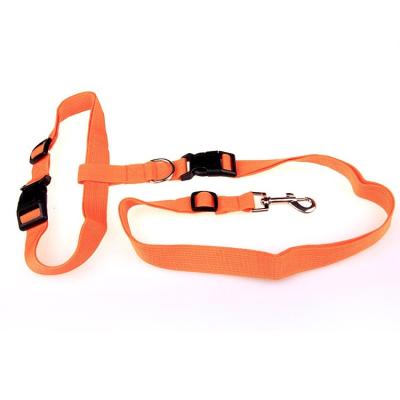 China Custom Sublimation Goods Amazon Nylon Pet Traction Leash Hands Running Dog Leash Hands Free Training Pet Heavy Duty Leash for sale