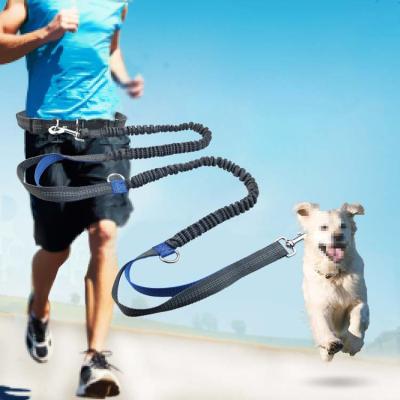 China Amazon Stocked Adjustable Walking Belt Hands Free Dog Leash Strong Heavy Duty Luxury Dog Leash for sale