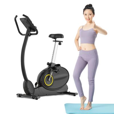 China Mini Bike Elliptical Trainer Bike Wholesale Music Factory Price Home Use Elliptical Machine for sale