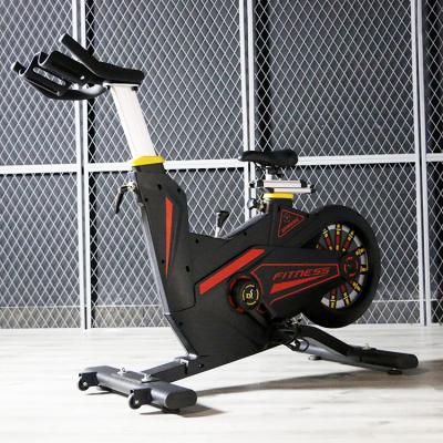 China 20Kg Universal Home Indoor Flywheel Spinning Exercise Gym Magnetic Flywheel Exercise Bike for sale