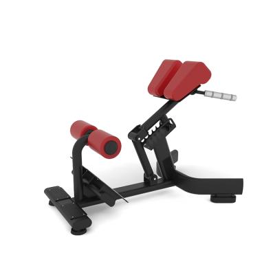 China Fitness Center Workout Training Bench Fitness Strength Roman Chair for sale