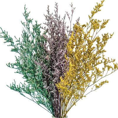 China Natural Touch Plant Limonium Lover Dry Grass Lover Colorful Dried Flowers Decoration Wholesale for sale