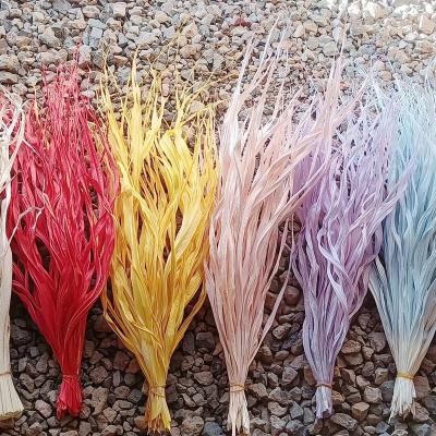 China Natural Real Touch Flower Palm Leaf Beard Dry Touch Palmette For Party Wedding Decoration for sale