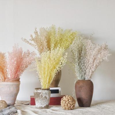 China Natural touch Yunnan vase hot-selling decoration preserves colorful natural kitchen fan for sale