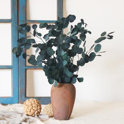 China Real Plant Natural Wholesale DIY Decoration Colorful Eucalyptus Leaves Preservation Natural Eucalyptus Leaves for sale