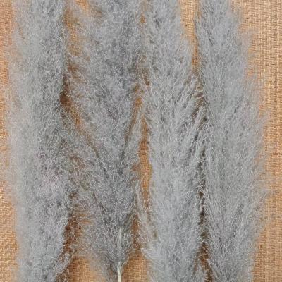 China Wholesale Natural Dry Touch Pampas Grass Decoration Pampas Grass Dry Layout Preserved Flowers Wedding Decoration for sale