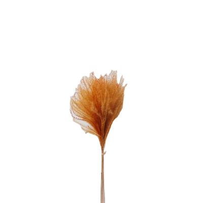 China Designs Slulaoo 2022 Hot Selling Natural Dried Pampas Grass Home Decoration Dried Flowers for sale