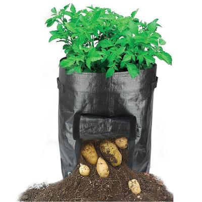 China Potato Plant Garden Bag Biodegradable PE Woven Plant Growing Plant Growing Grow Bags for sale