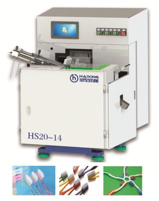 China Factory Automatic Feeding Toothbrush Making Machine (HS20-14) for sale