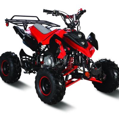 China 110CC ATV ATV-110M ATV-110M for sale