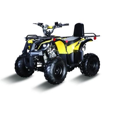 China 110cc ATV ATV-110G ATV-110G for sale