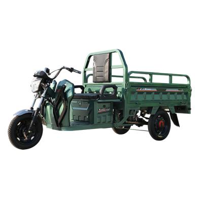 China Passengers Specially Model CCE 800W Good Look Electric Tricycles 60V 800w Citycoco Adults Max Light Body OEM for sale