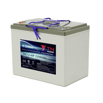 China Lead-Carbon Cycle TNC Lead Acid Batteries Premium Quality Solar Storage Battery 12V 65Ah Maintenance Free Acid Deep Rechargeable Lead Acid Battery for sale