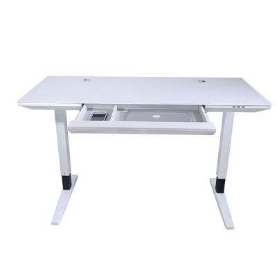 China Factory Made Smart Electric Height Adjustable Desk Table (Height) Adjustable Furniture With USB Ports for sale