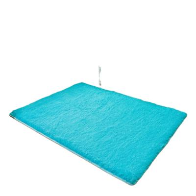 China Newest Modern Coral Velvet Carpet Solid Color Water Absorption Sofa Carpet Memory Foam For Bedroom Living Room Kids Blanket for sale