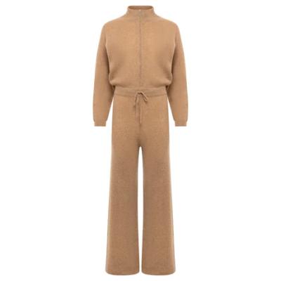 China Hot Women's Anti-Wrinkle Sweater Women's Turtle Neck Luxury Pure Cashmere Cashmere Boiler Suit for sale