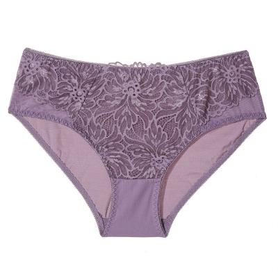 China BEIZHI Women's Fantasy Lace Transparent Custom Panties Breathable Nylon Sexy Girls Ladies Nice Panties for sale