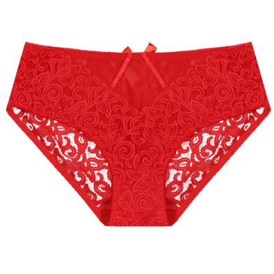 China Wholesale Breathable Lace Underwear Women Private Label Sexy Lingerie Panties For Fat Ladies for sale