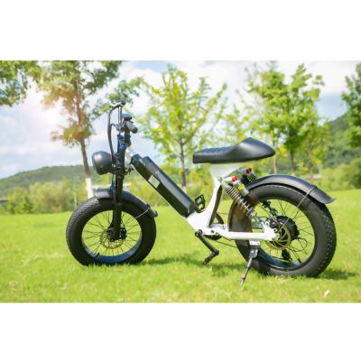 China Cheap aluminum alloy 48v 500W 750W 1000W 45 km/h 60km/h speed dirt electric bikes with CE FCC Rohs EU and US warehouse for sale