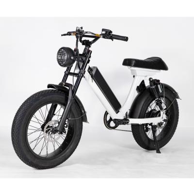 China Aluminum alloy 48v 500W 750W 1000W 45km/h high power electric bike fat tires 1000w with CE FCC Rohs EU and US UK warehouse for sale