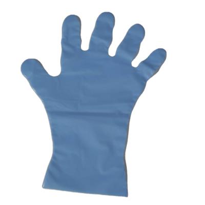 China Custom Biodegradable Disposable Food Hand Water Proof PE Plastic Gloves for sale