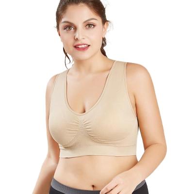 China 1888021 Cheap&Quality Amazon Girls HOT SALES S-3XL Impact Breathable Gym Fitness Yoga Bra Rimless Shockproof Crop Top for sale