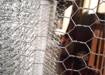 China Hot dip galvanized 50mm 1.6mm chicken Hexagon Metal Mesh for sale