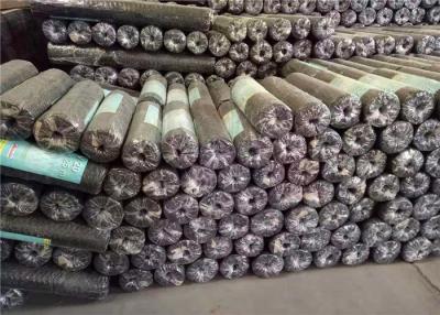 China Oxidation Resistance Galvanize 20 BWG Hex Wire Netting for sale