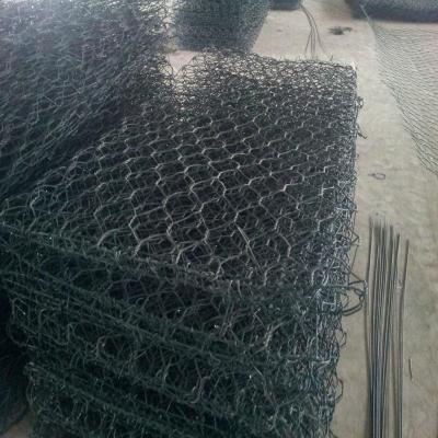 China 80 x 100 Omheining Gabion Wire Mesh van de Gevogelte de Kleine Dierlijke Tuin Te koop