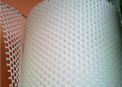 China 30x30mm White Flat Hdpe 500g/M2 Per Sqm Plastic Netting Mesh for sale