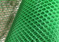 Cina Verde Mesh Netting Hdpe For Fishing di plastica di pianamente 10x10mm Apeture in vendita