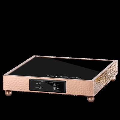 China High Efficiency Home Appliances Commercial Use Portable Heater Plates Electric Food Heating Tray Buffet Server Warming Tray for sale